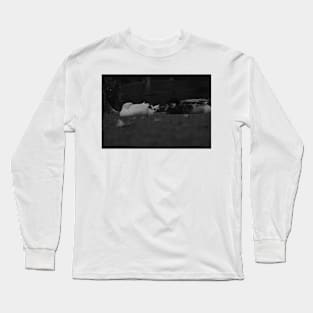 Ducks Long Sleeve T-Shirt